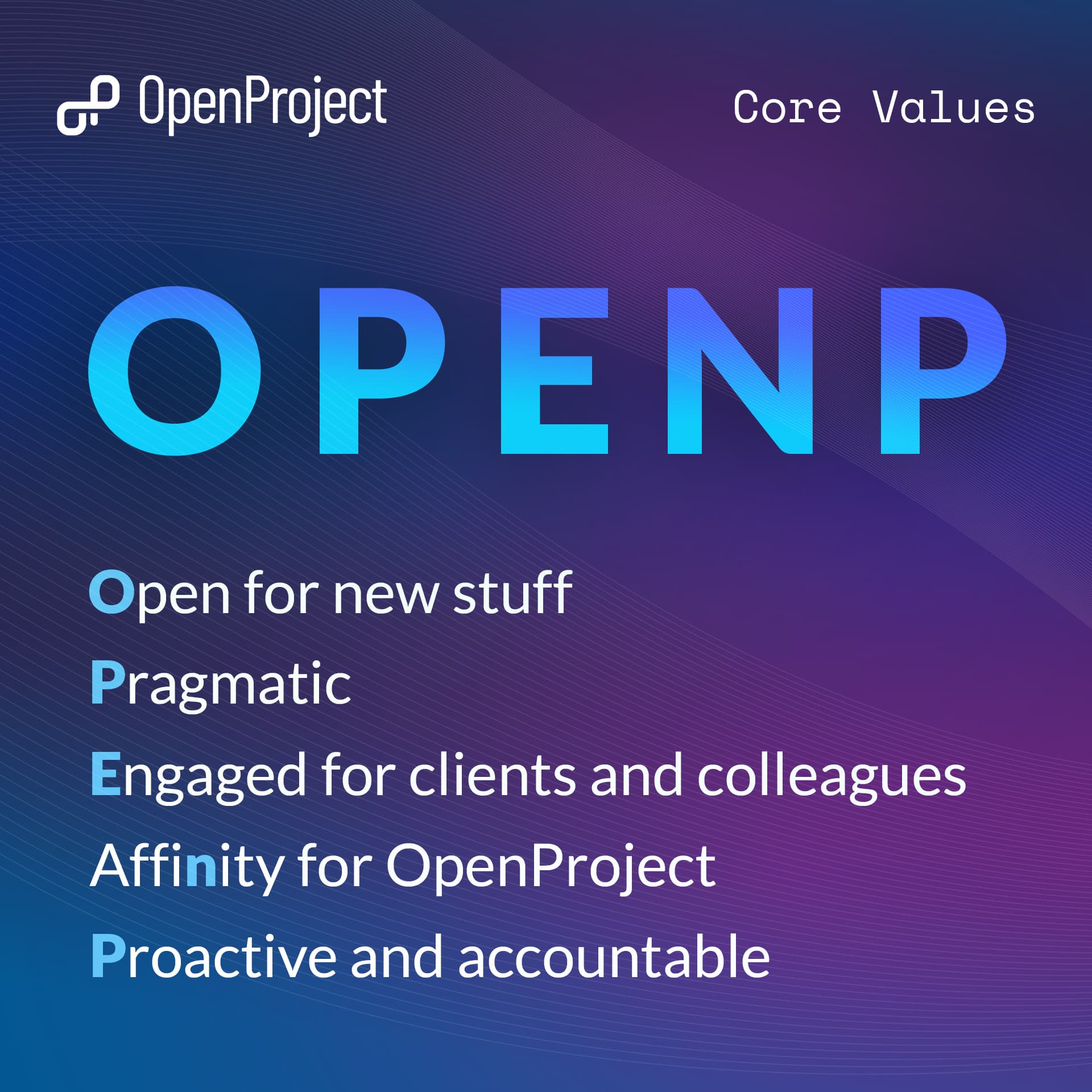 overview all openproject values