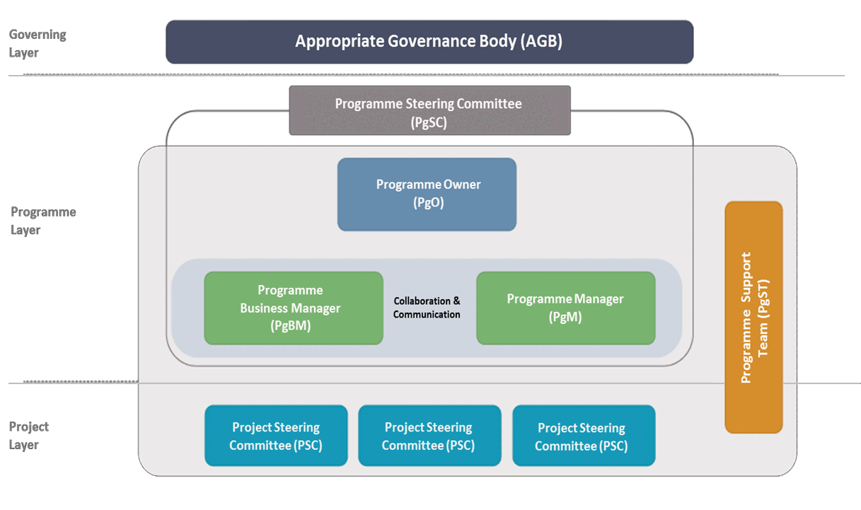 Fig D. 6 The PM²-Programme organisation