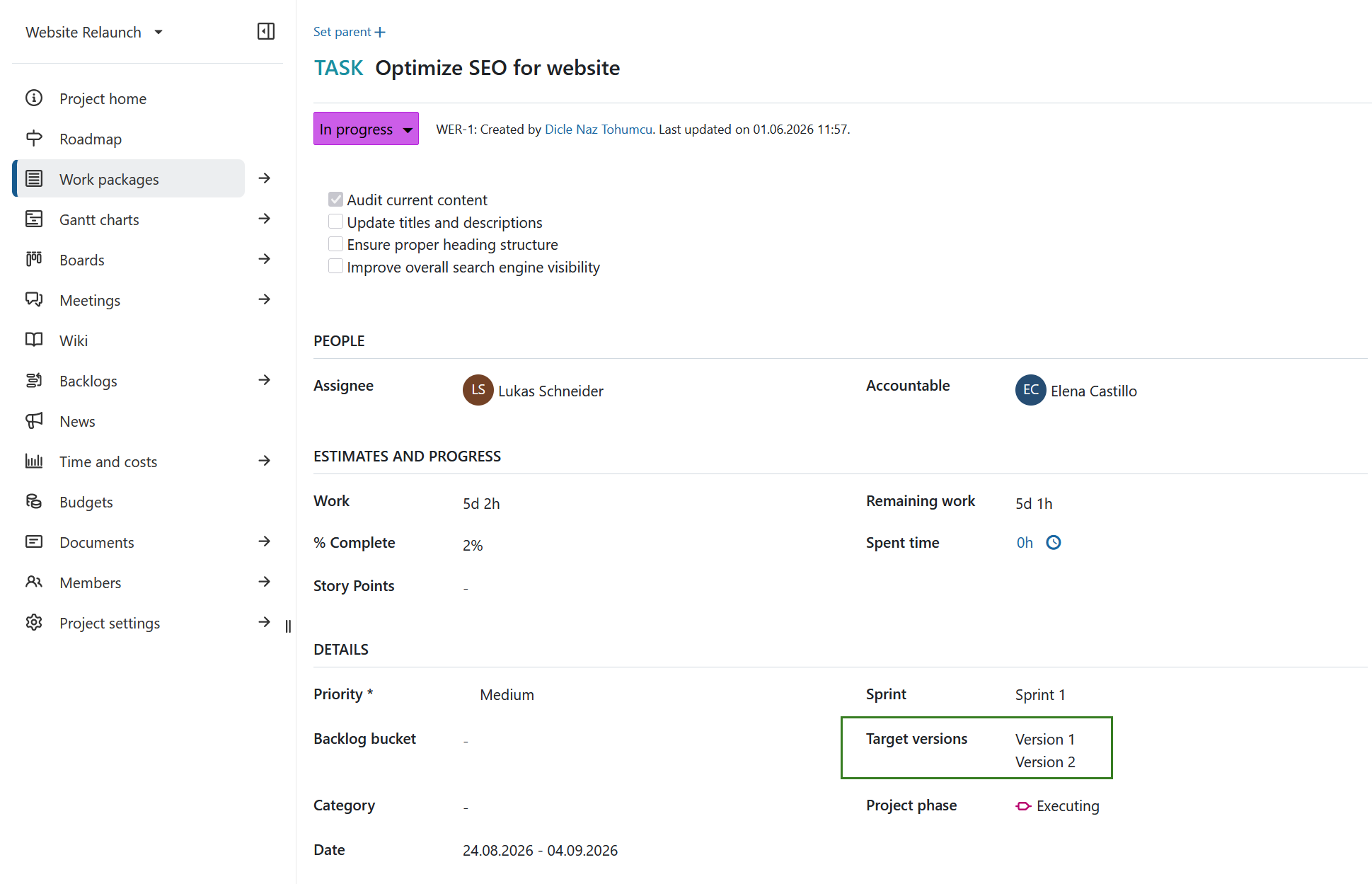 Multiple target versions assigned to a work package
