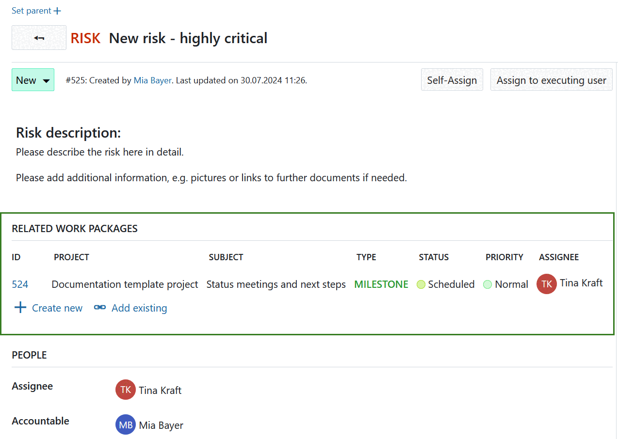 A work package in OpenProject displaying related work packages table